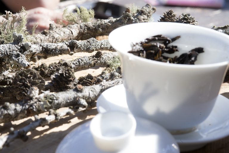 Shi Ru Wuyi Rock Tea