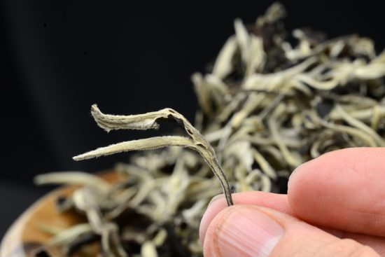 Organikus Yue Guang Bai fehér tea