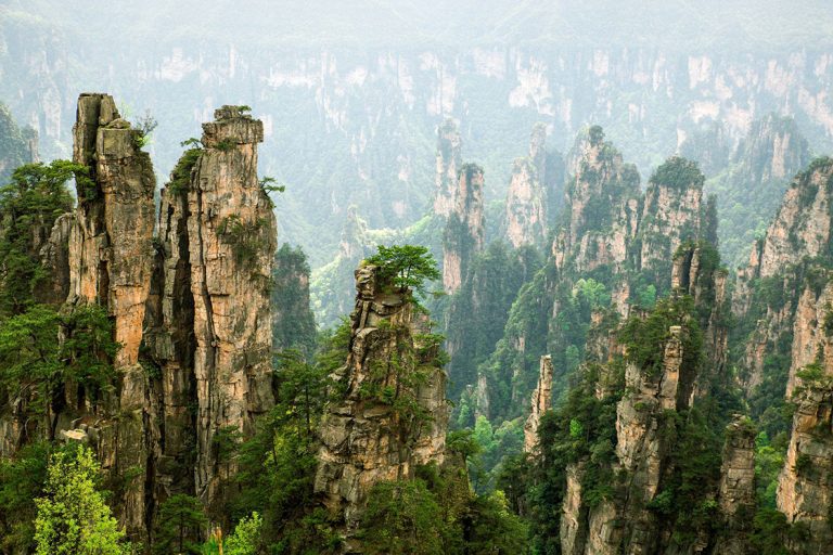 Zöld sziklateraszok jáde rügyei kínai zöld tea