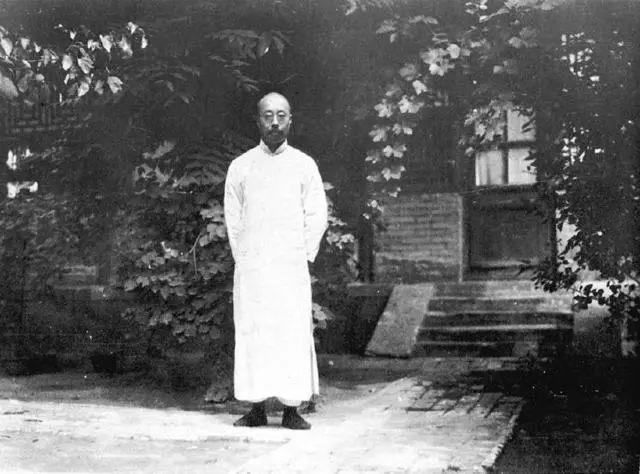 zhu cha gunpowder tea