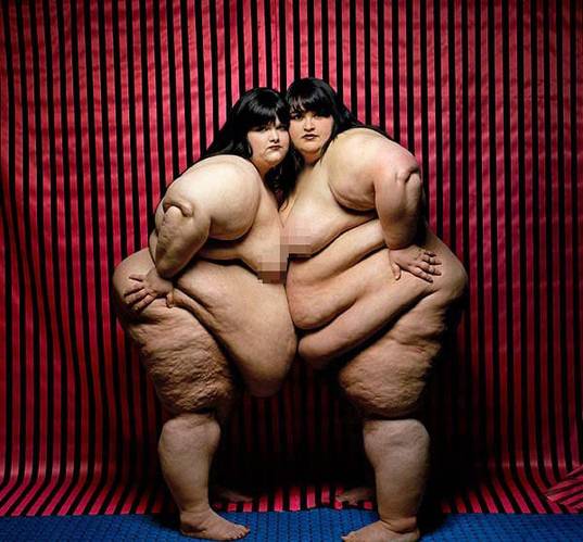 2011 Menghai 7542 sheng puerh tea