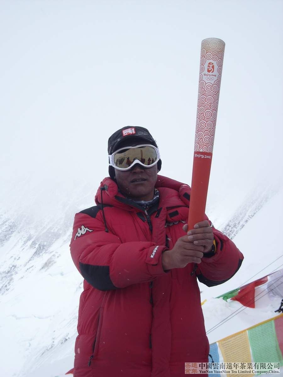 2008 远年茶业公司易武山 yuan nian 8848 Yiwu hegyi sheng puerh tea