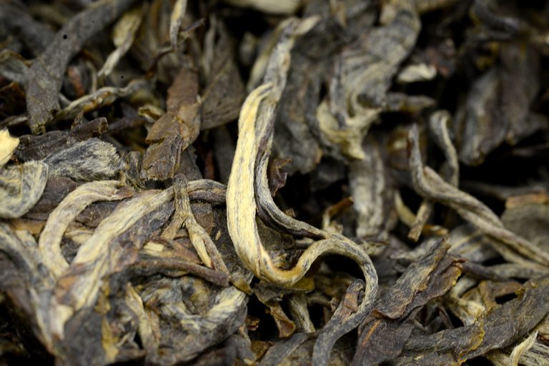 2015 Bing Dao Gu Shu sheng puerh tea