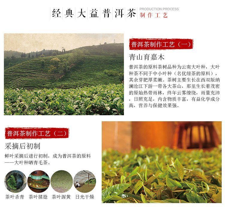 2016 Menghai 7572 shu puerh tea