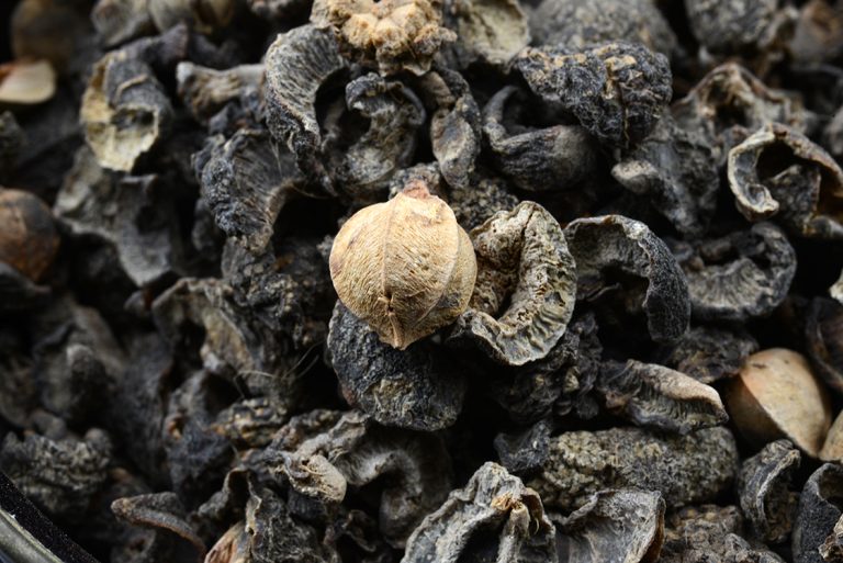 Amla, indiai egres gyümölcs