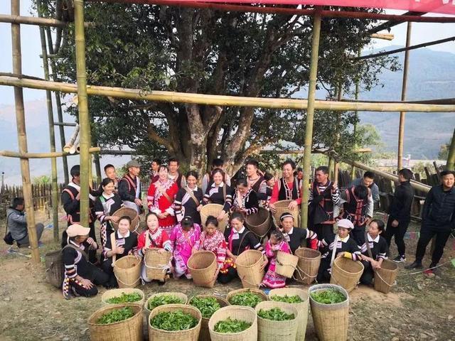 2005 bangwei wang sheng puerh tea