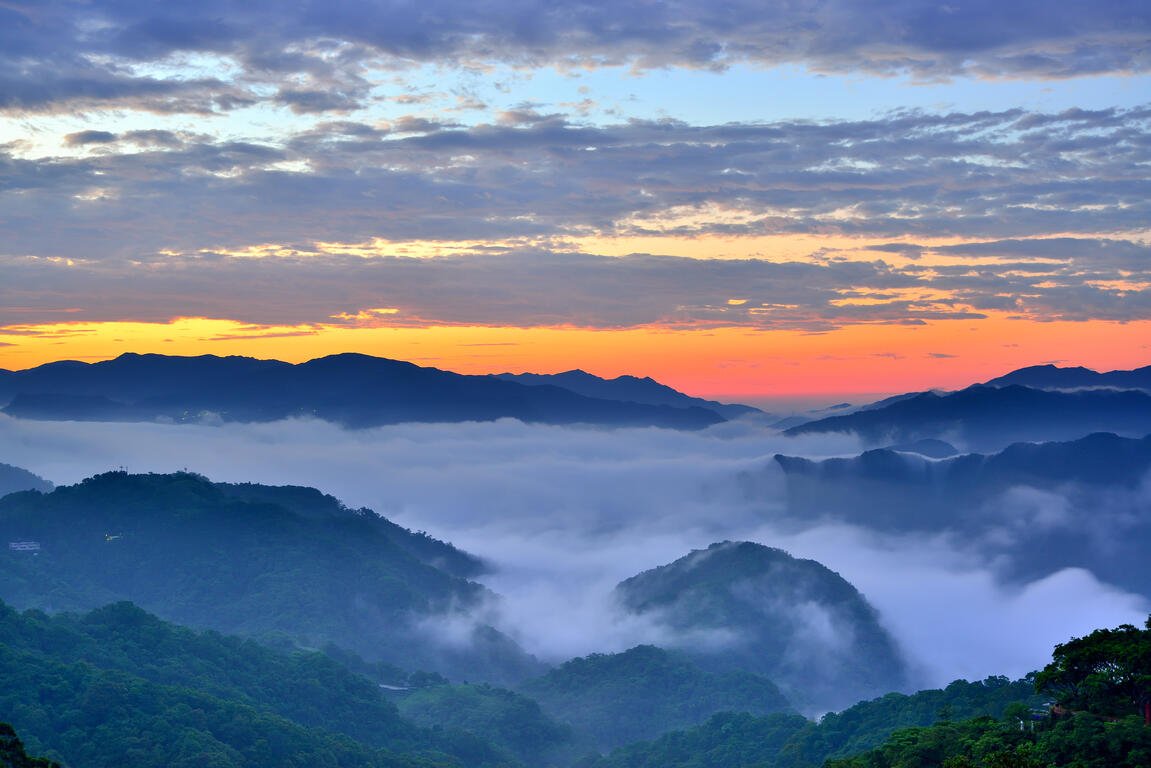 Wenshan Baozhong tajvani oolong tea