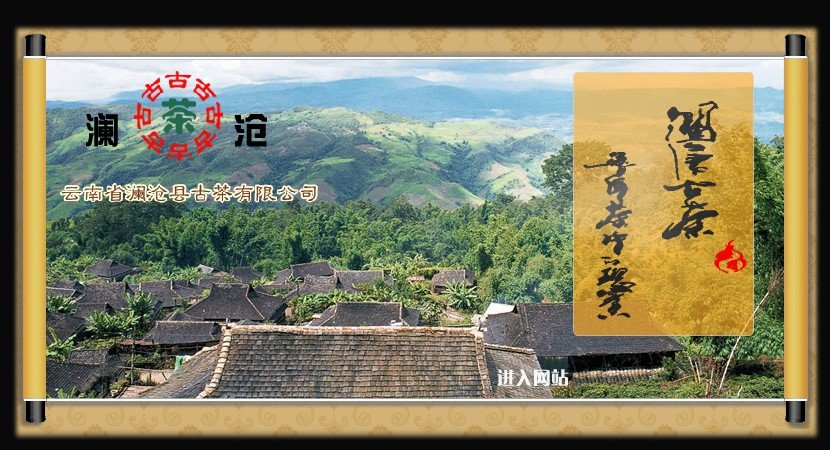 2005 bangwei wang prémium sheng puerh tea