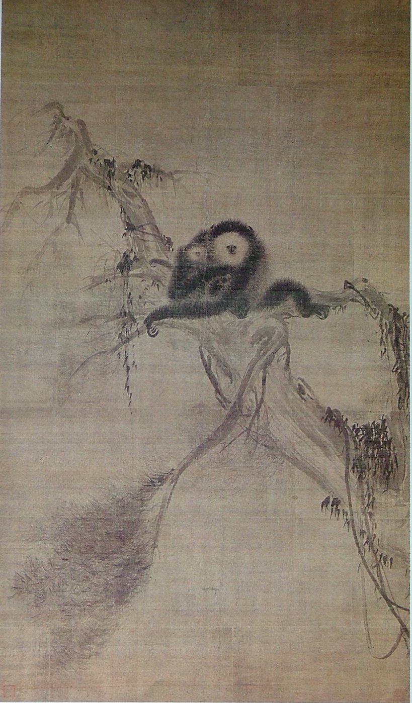 muqi gibbon