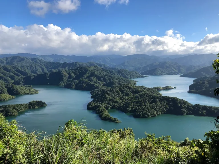 Wenshan Baozhong tajvani oolong tea
