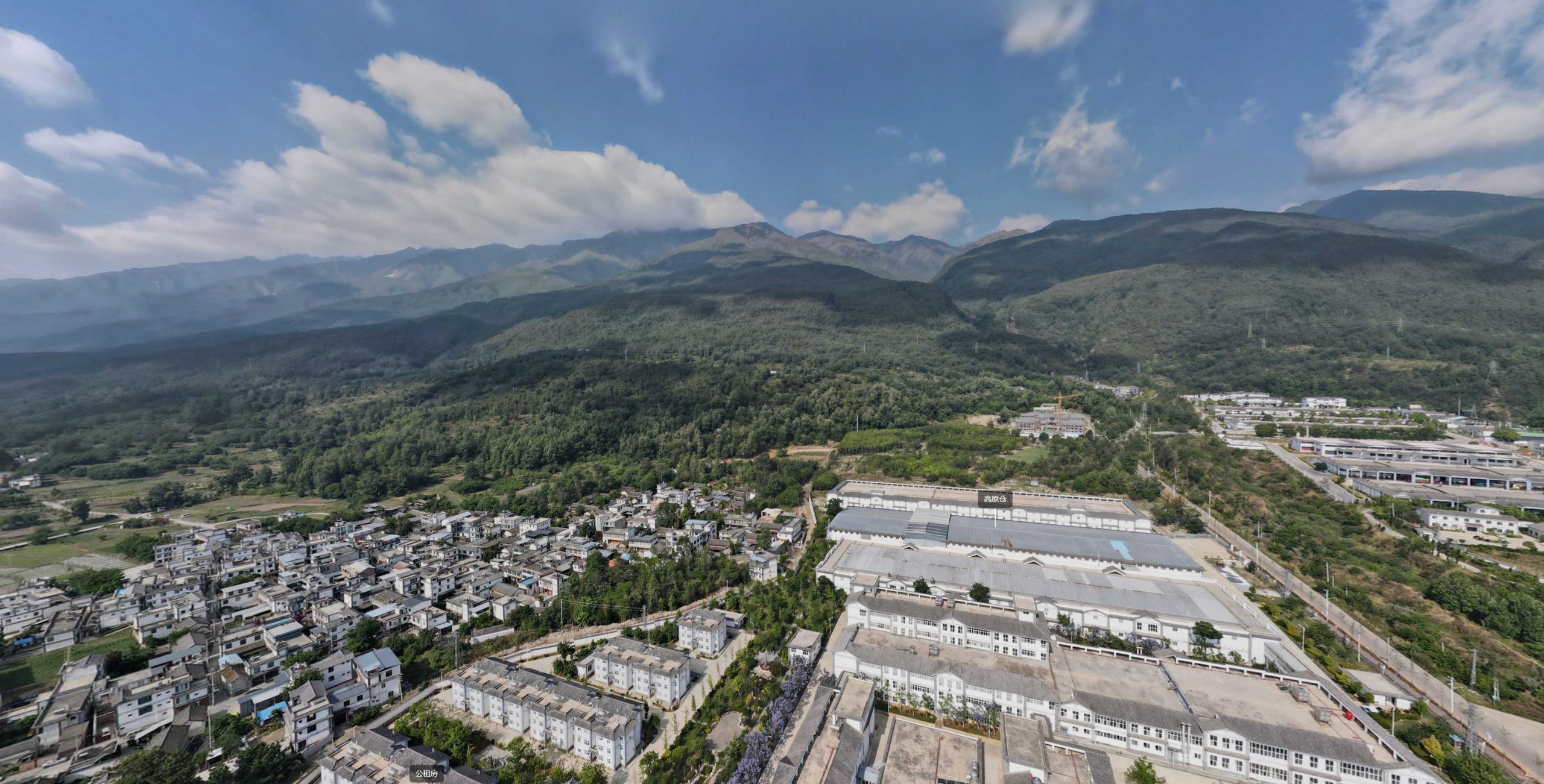 Xiaguan sheng puerh tea