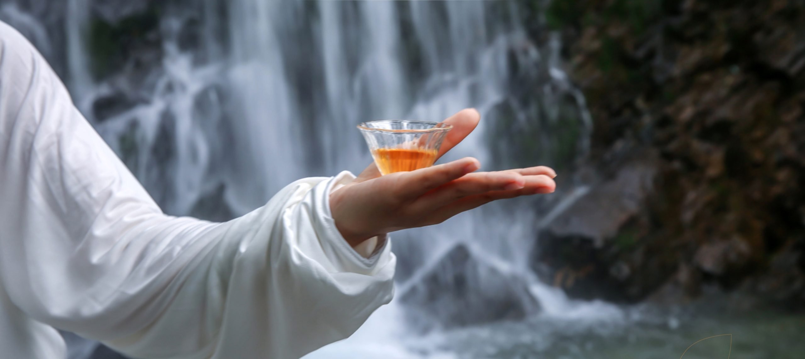 Xiaguan sheng puerh tea