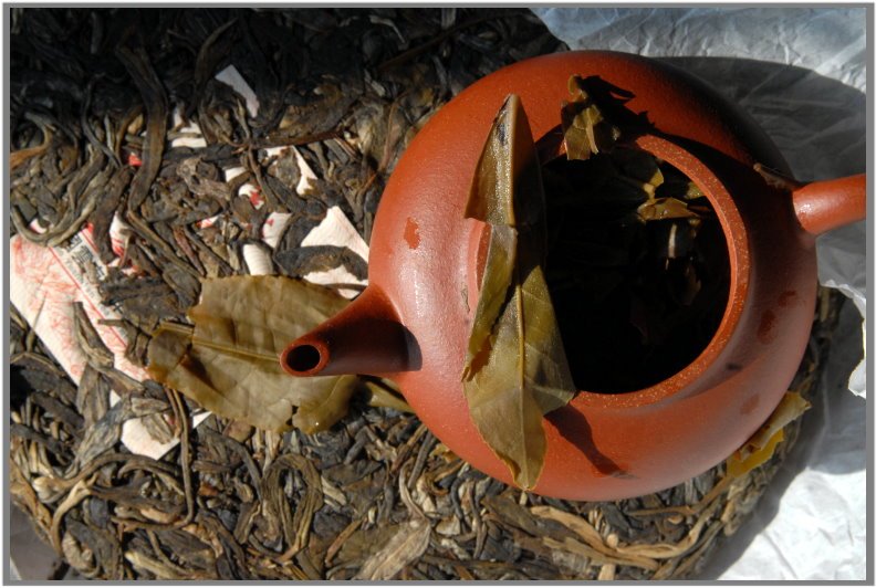 2008 远年茶业公司易武山 yuan nian 8848 Yiwu hegyi sheng puerh tea