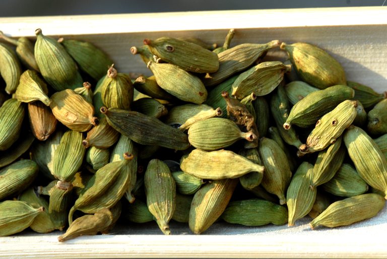 Zöld kardamom