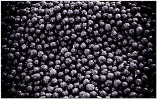 Yacuy-Terere-Energy-Guarana-Acai-Menta-yerba-Mate-BIO