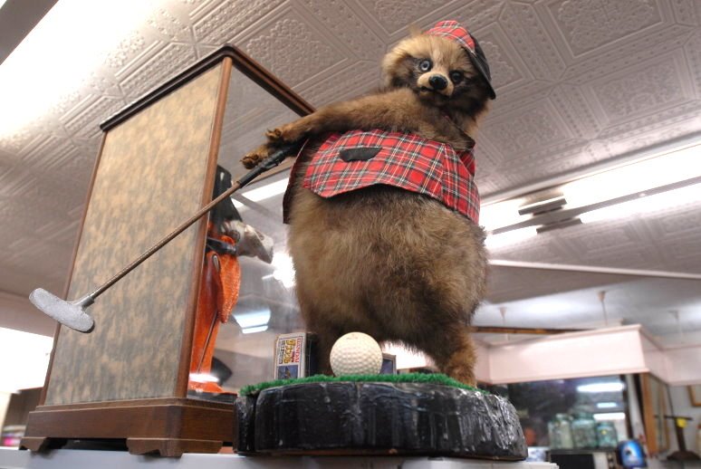 nyulakopter-rakusai-takahashi-shigaraki-teascsesze.