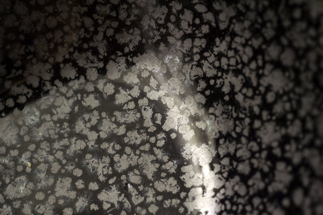 Igazi tenmoku chawan japán matcha teáscsésze