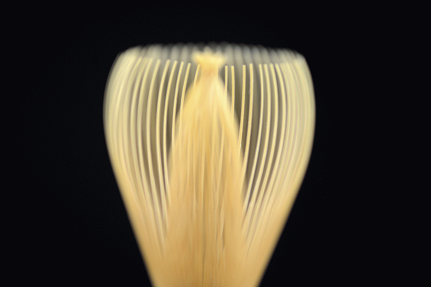 chikusendo shin chasen