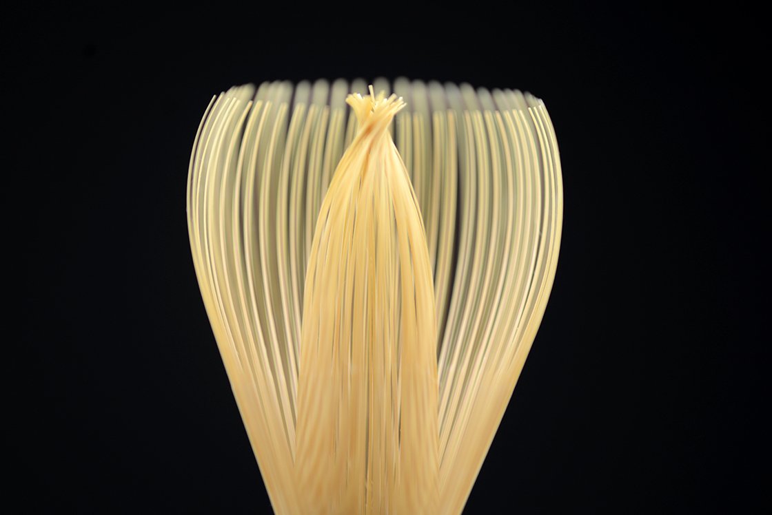 chikusendo shin chasen