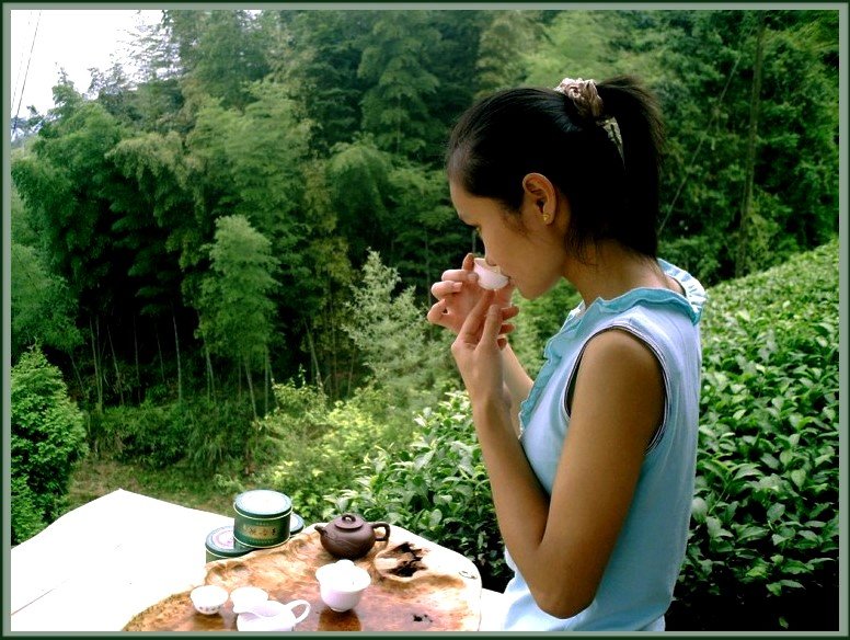 Tie guan Yin türkizzöld oolong tea