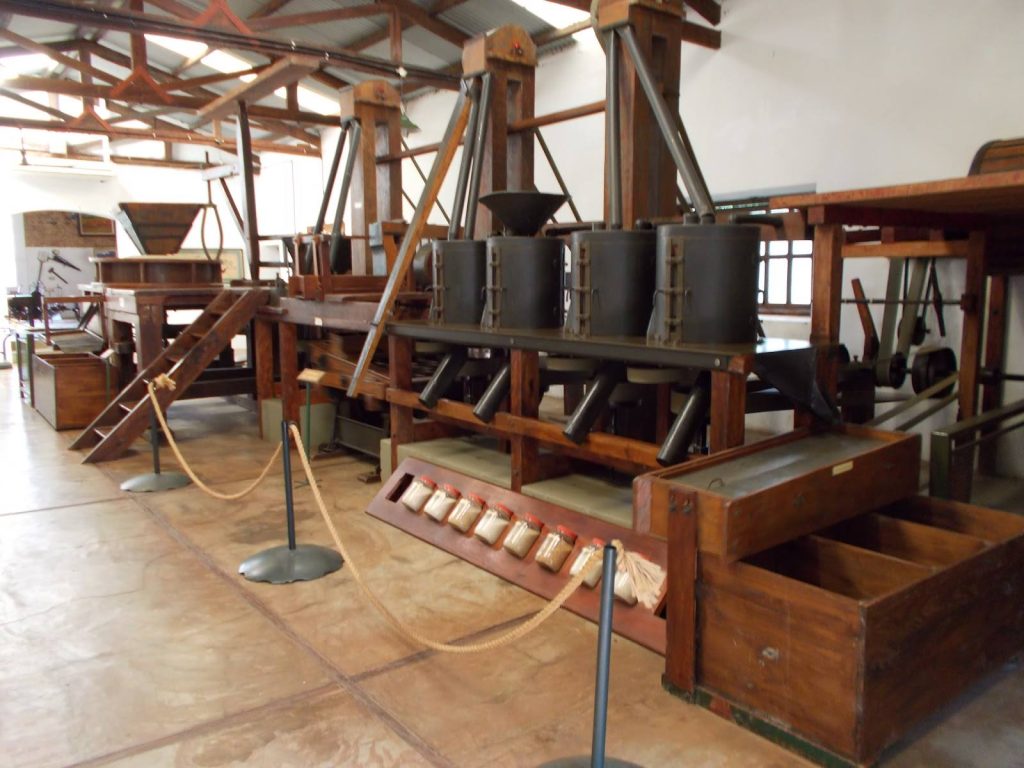 amanda yerba mate tea