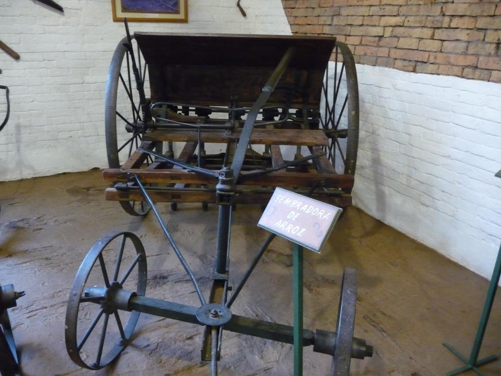 amanda yerba mate tea