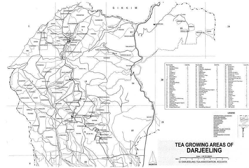 a darjeelingi tea kertek