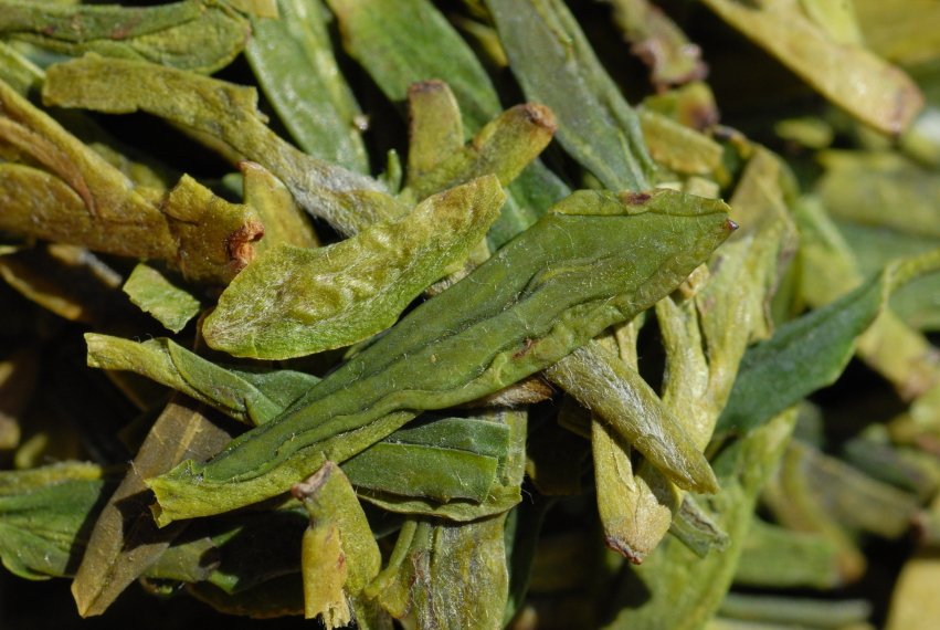 longjing dafo