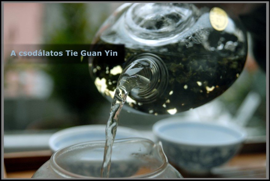 Tie guan Yin türkizzöld oolong tea