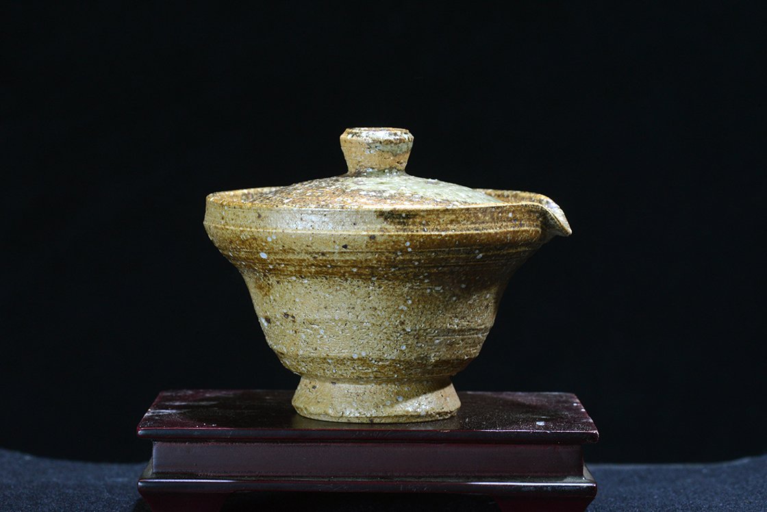 Shigaraki hoihin japán teáskanna