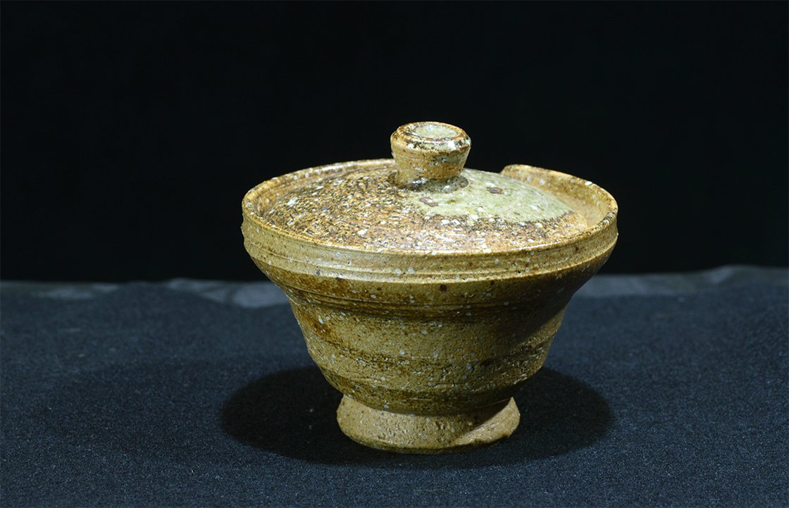 Shigaraki hoihin japán teáskanna