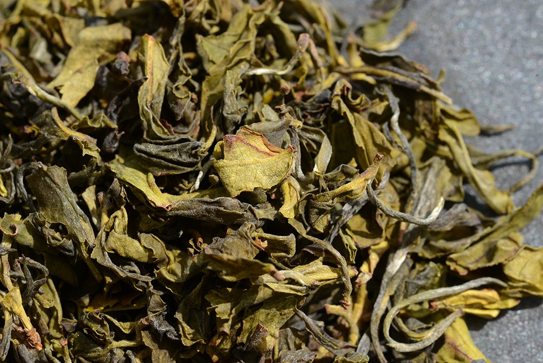Darjeeling Yabukita Emerald