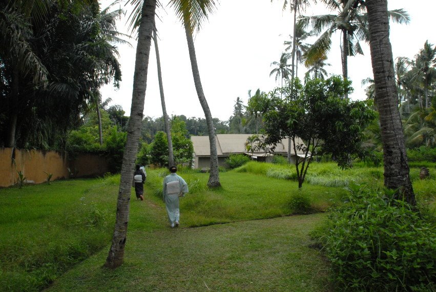 teaszertartás balin