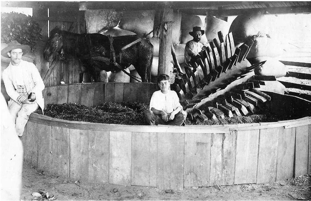 Erva Mate Paraná Chimarrão