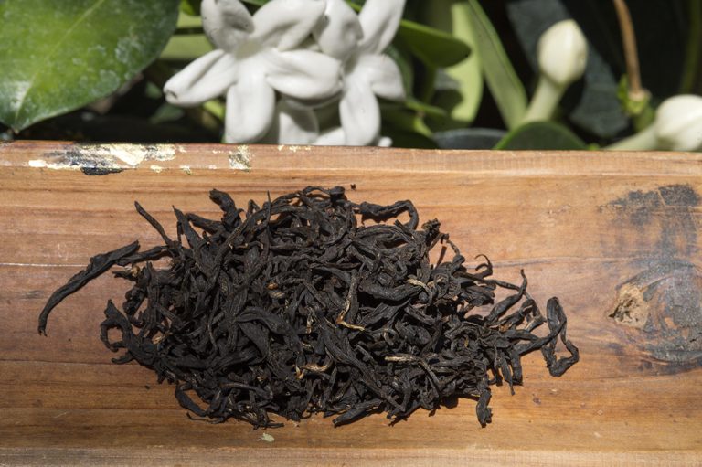 asamiya-fekete-tea-Sayama-Kaori