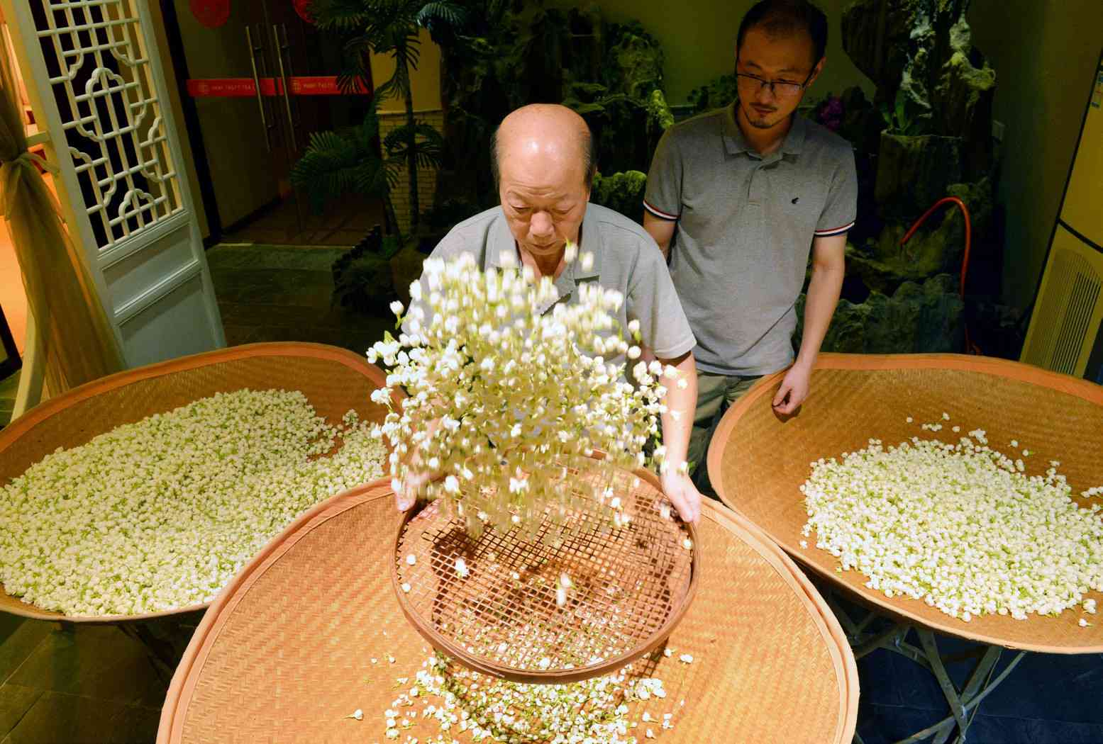 a jázmin A mennyei illata