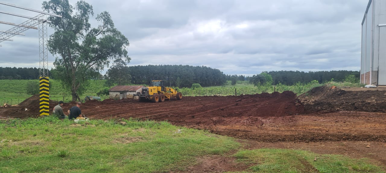 Las Tunas yerba mate