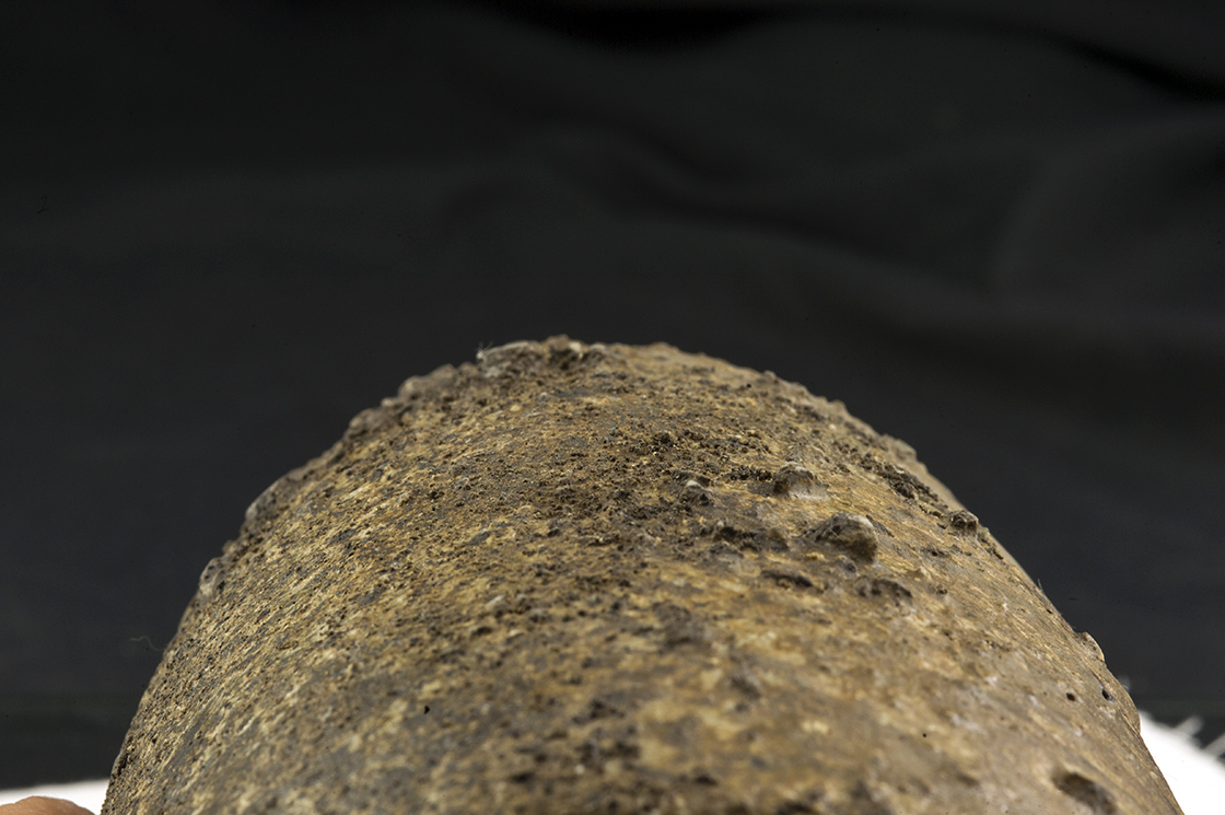 Fatüzes bizen virágváza