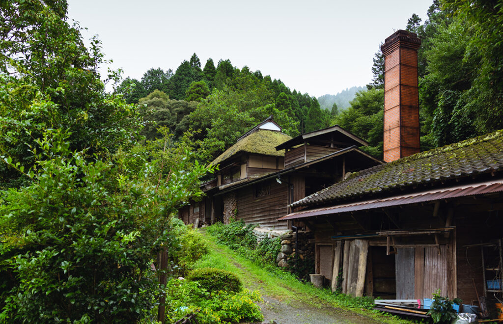 Fedél nélkül hoihin