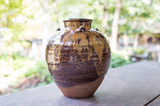 Fedél nélkül hoihin