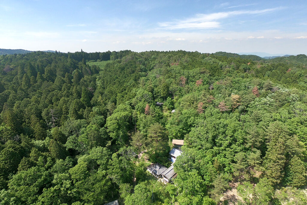 Tsujimura Shiro (1947-) a japán kerámia nagy klasszikusa és kortárs különce