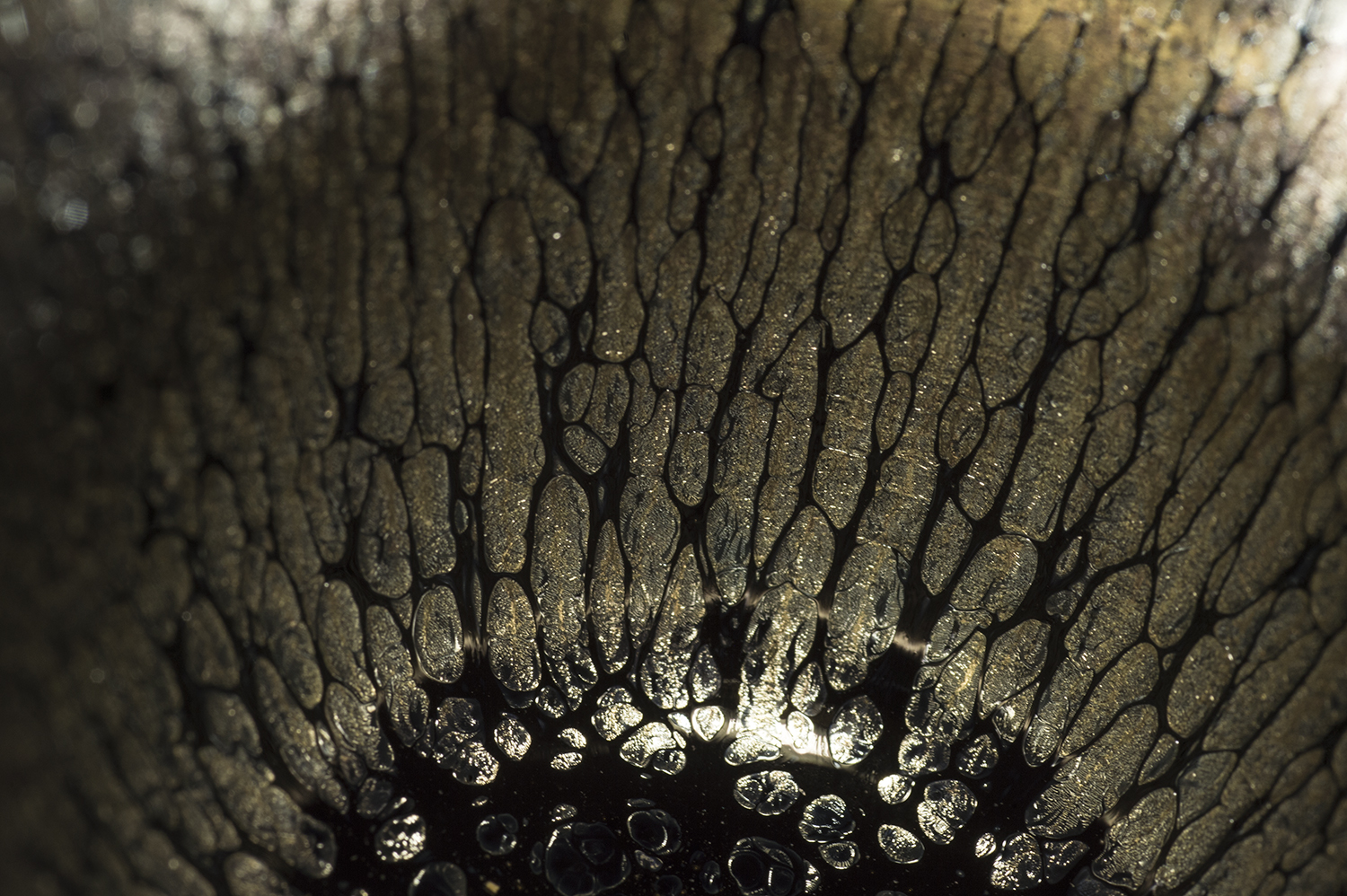 Jian Zhan tenmoku csésze #1