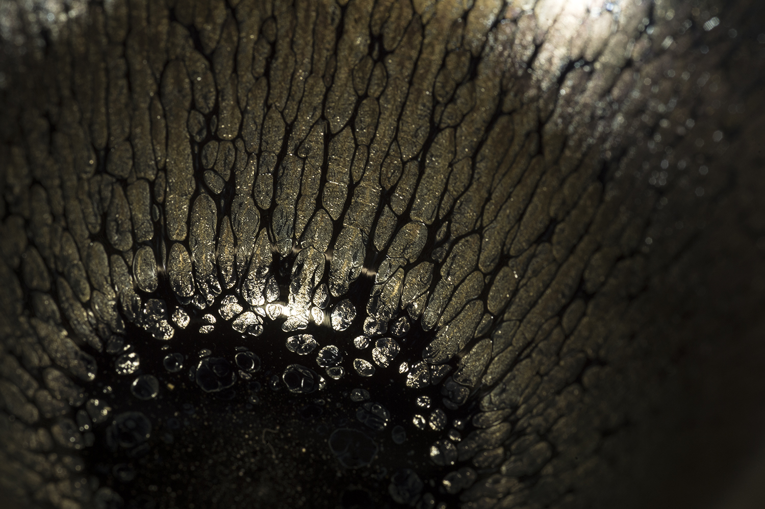 Jian Zhan tenmoku csésze #1