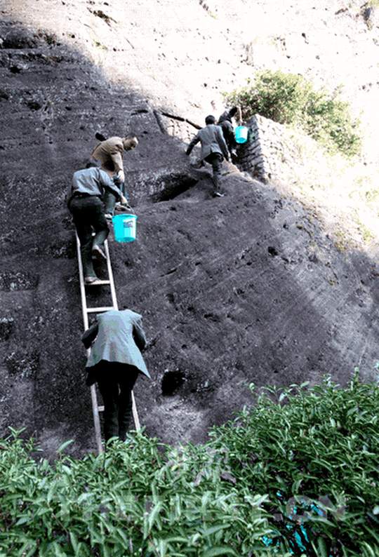 teaszedés műanyag vödrökbe