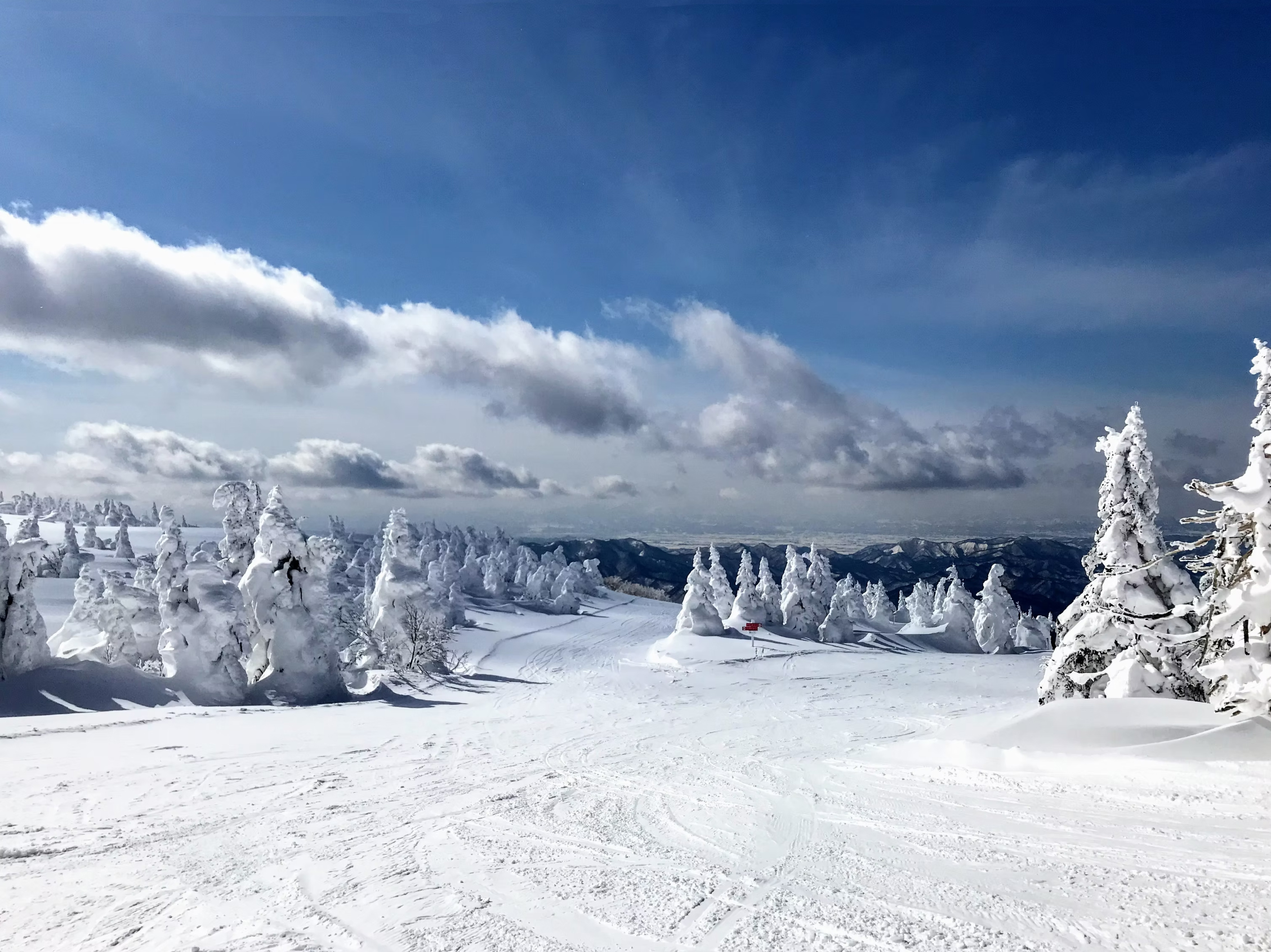 Ryuhei Niwa fekete hó hirashimizu chawan
