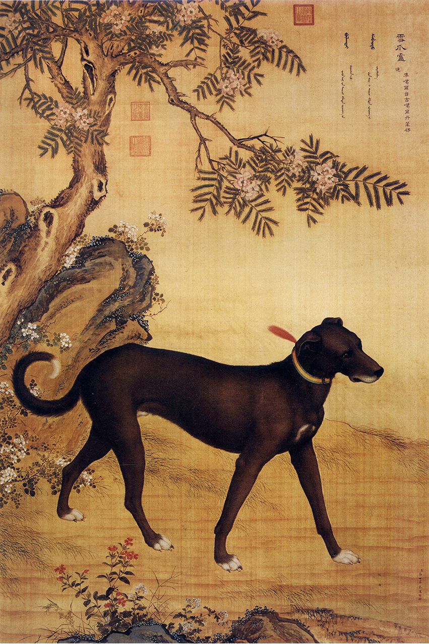 Giuseppe Castiglione