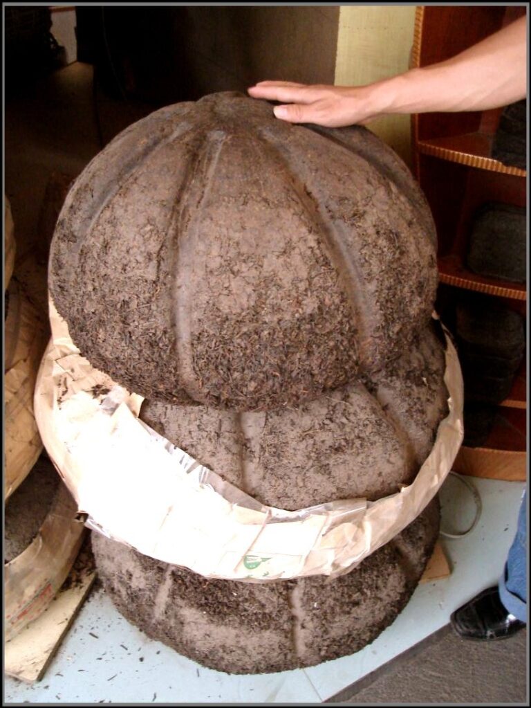 2001 Fehér sárkány lao cha shu puerh tea