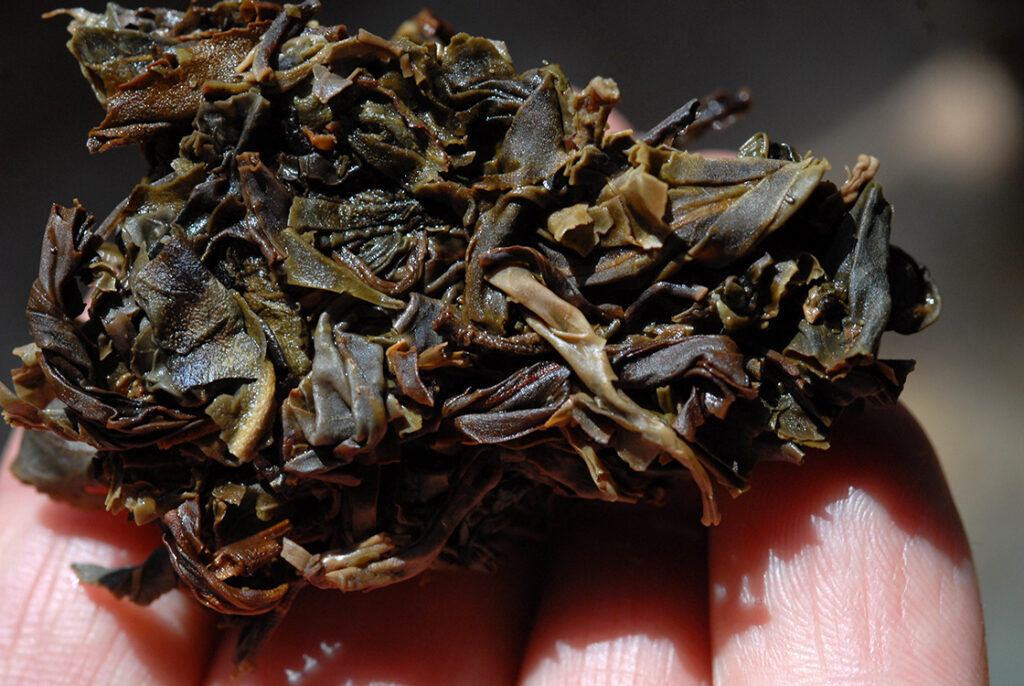2010 Xiaguan - Ősi, vad teafák lombja sheng puerh tea