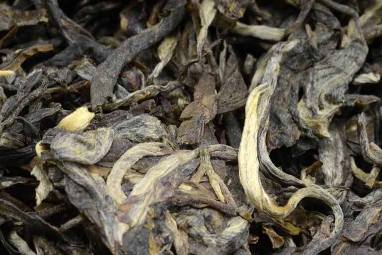 2021 Bing Dao sheng puer tea