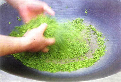 bi luo chun kínai kora tavaszi zöld tea